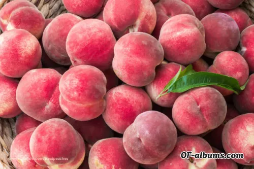 Image #4 of treatpeaches