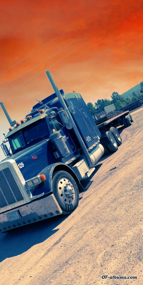 Image #2 of truckerpup