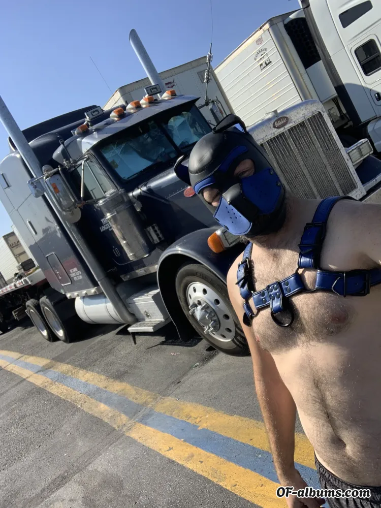 Image #1 of truckerpup