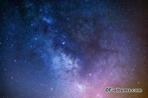 Image #3 of u109263563