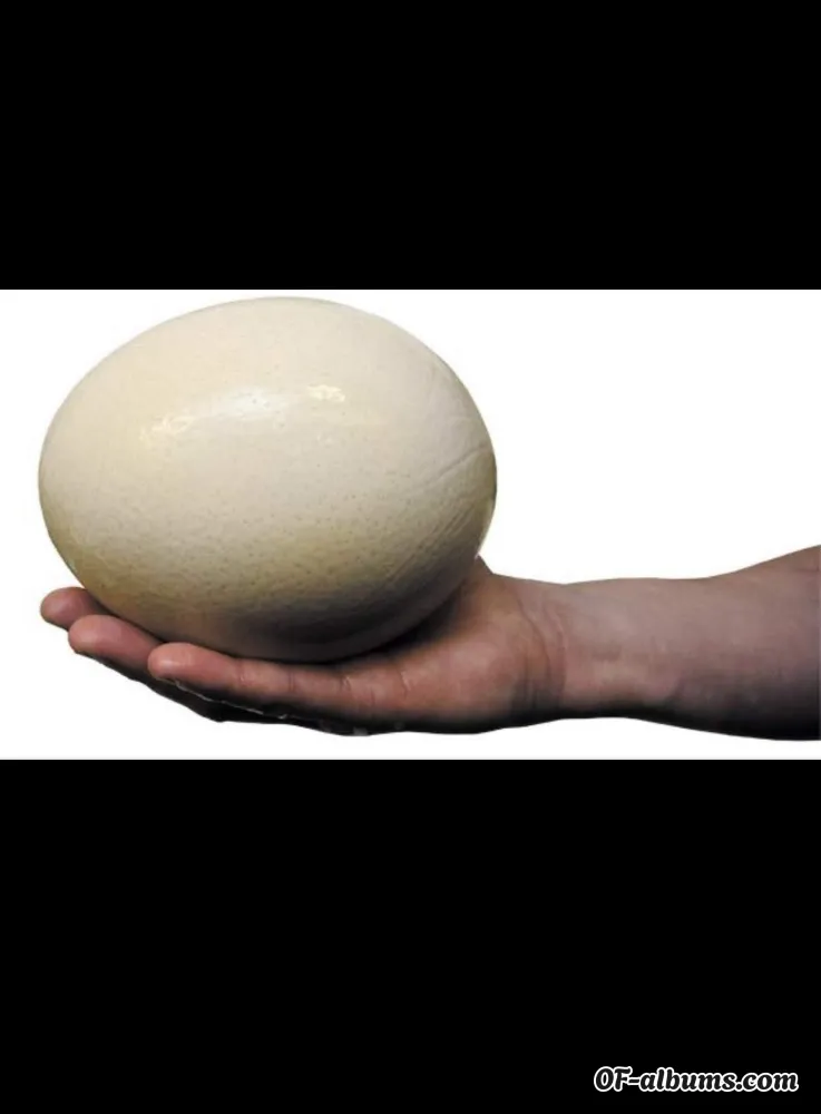 Image #1 of u11661059