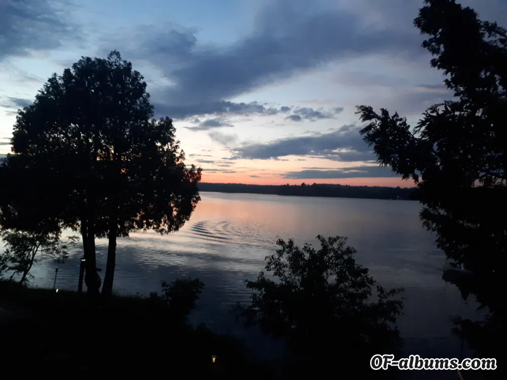 Image #2 of u135321856