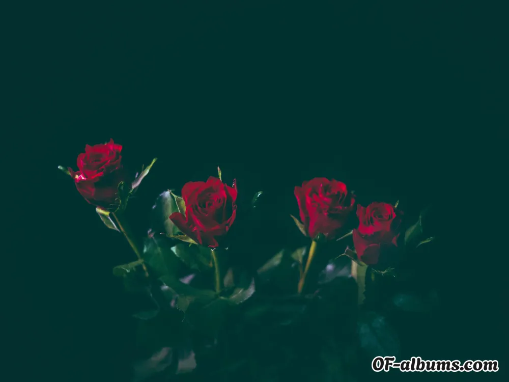 Image #2 of u153905429