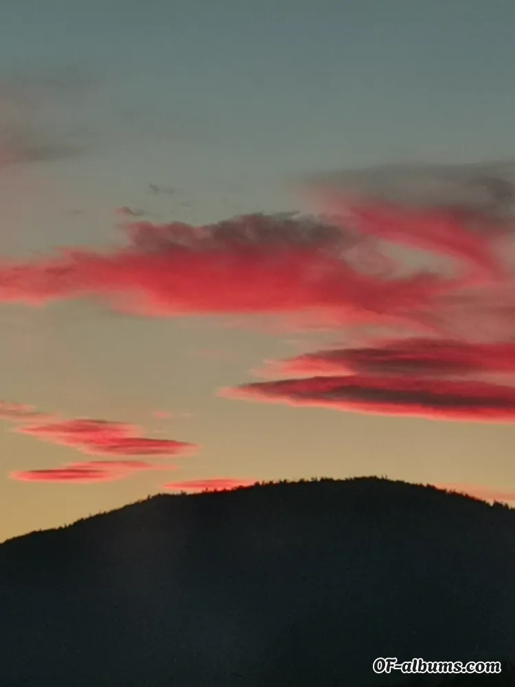 Image #2 of u167389062