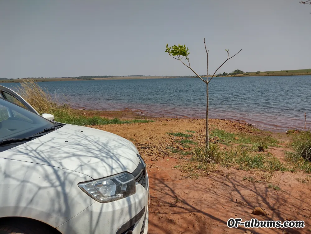 Image #2 of u172217303