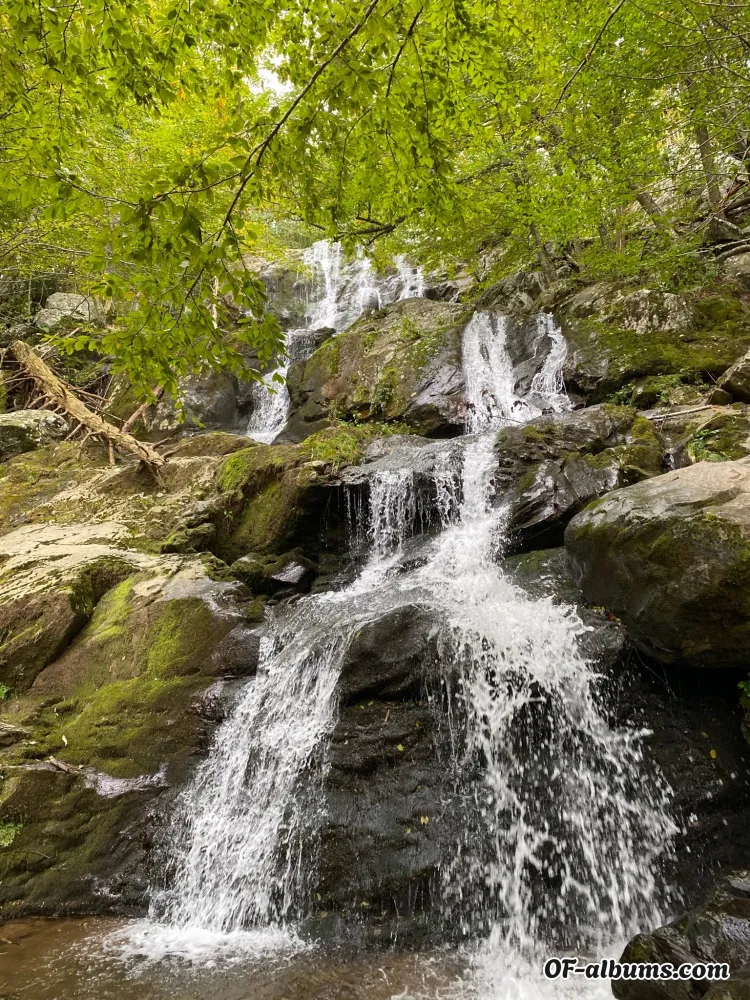 Image #2 of u180741454