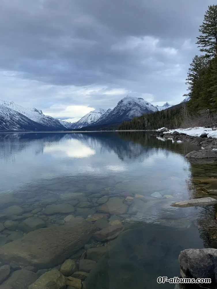 Image #2 of u232893473