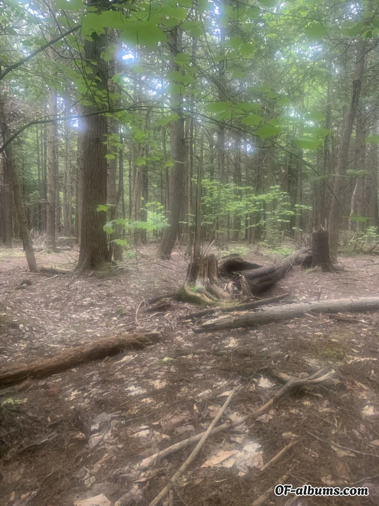 Image #1 of u36188235