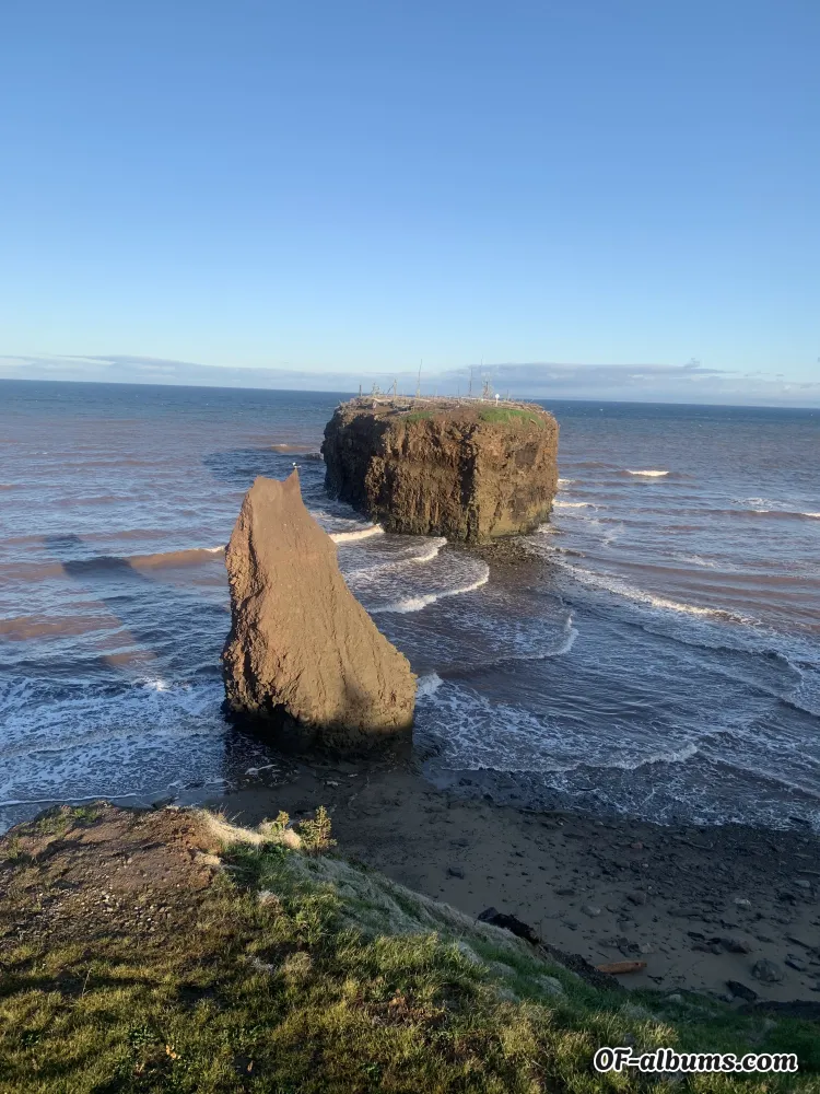 Image #2 of u36188235