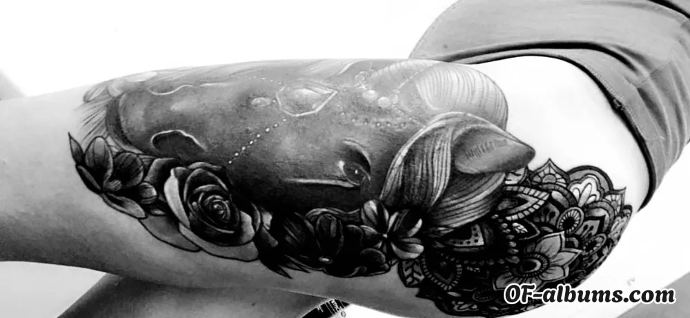 Image #2 of u48822925