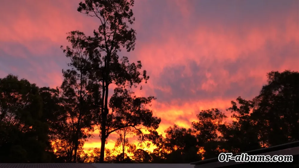 Image #2 of u50497174