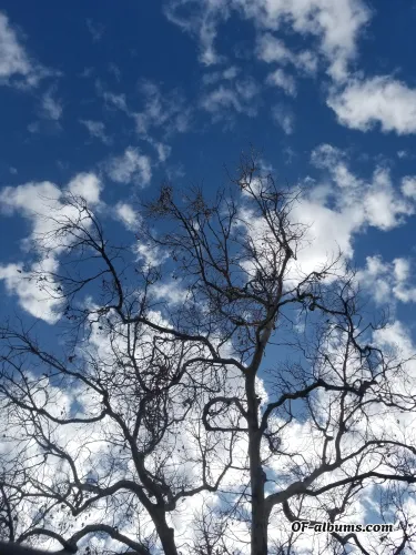 Image #4 of u50516866