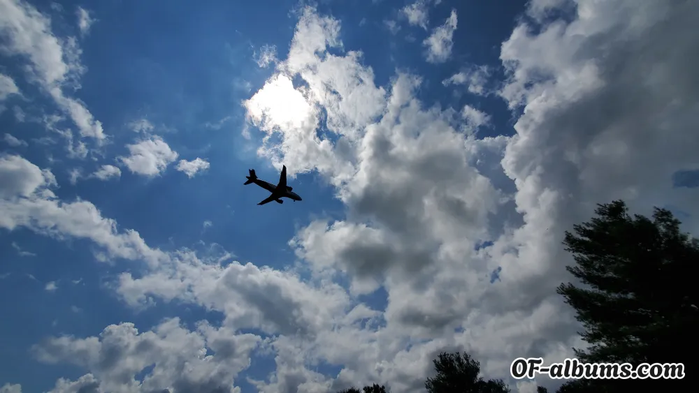 Image #2 of u51894601