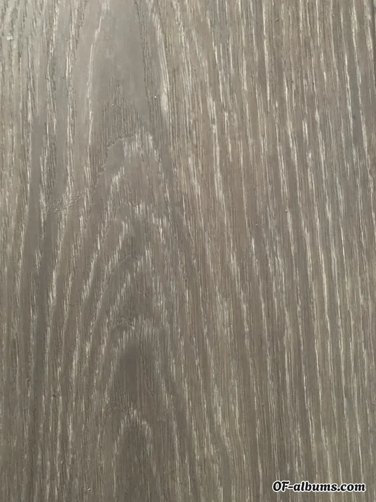 Image #2 of u58303855