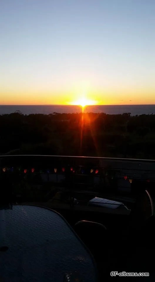 Image #2 of u94004558