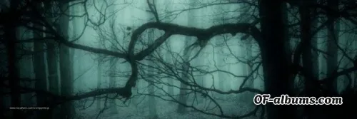 Image #7 of vampyrebqt