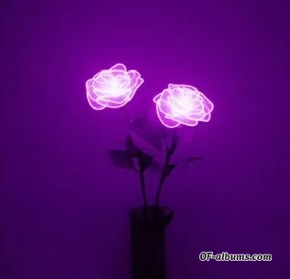 Image #2 of vanessasosweet