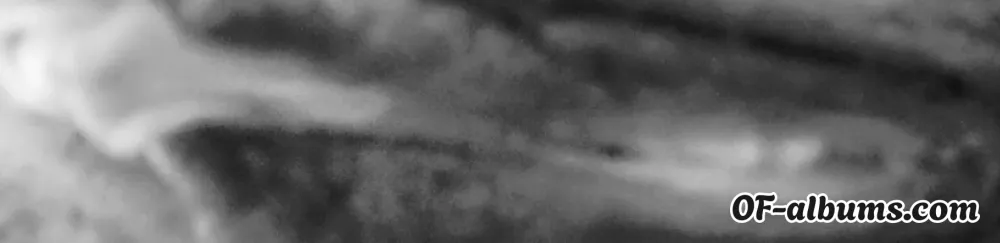 Image #2 of velvet_harmony