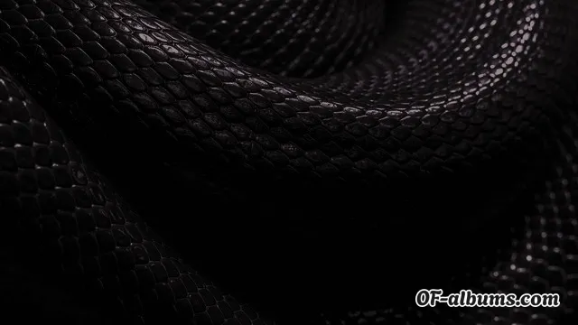 Image #2 of venomousvanilla