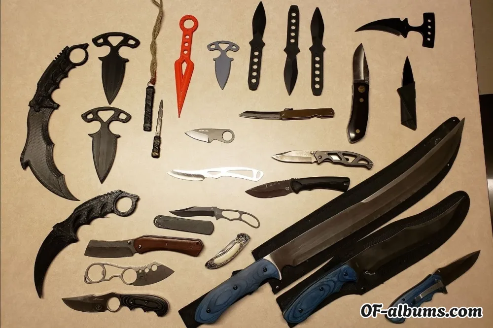 Image #2 of veshkali