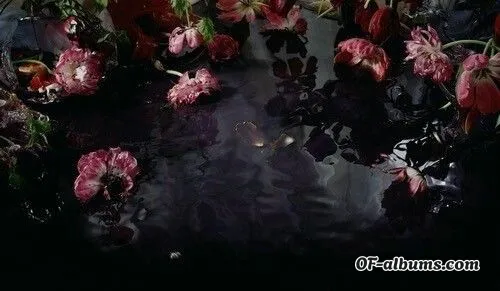 Image #6 of vickyvenom