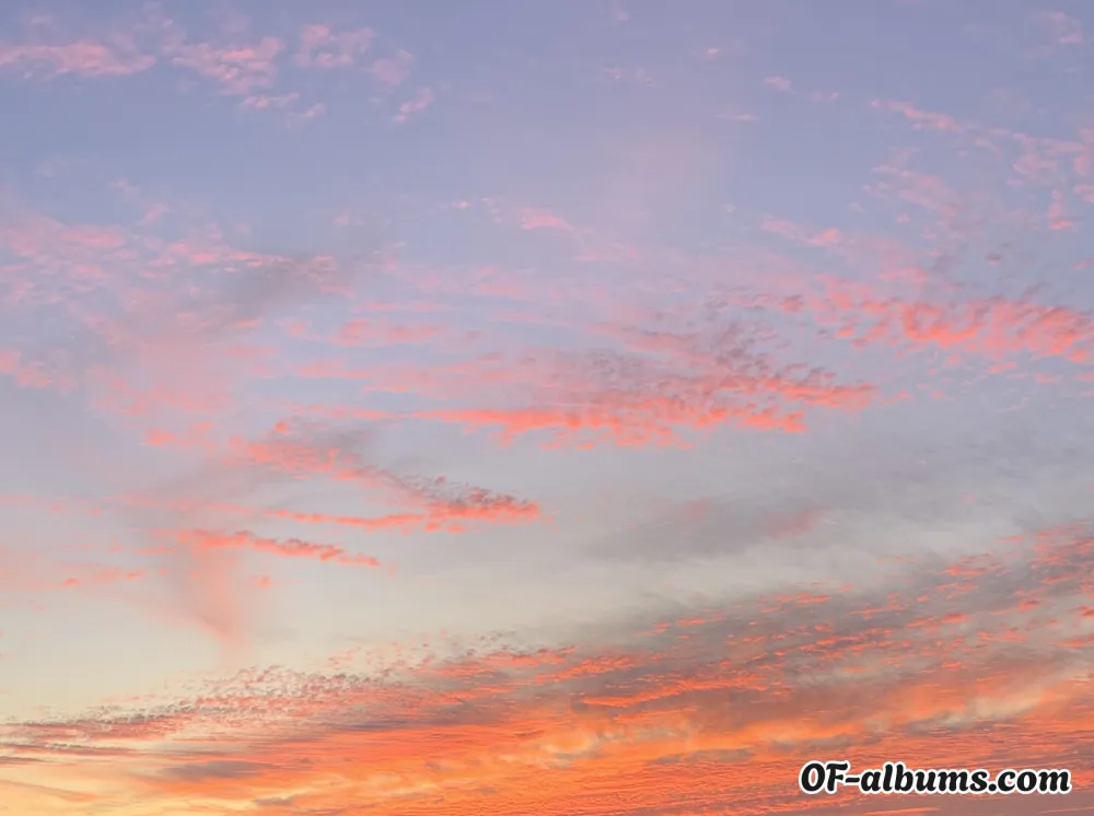 Image #2 of victoriaxavier