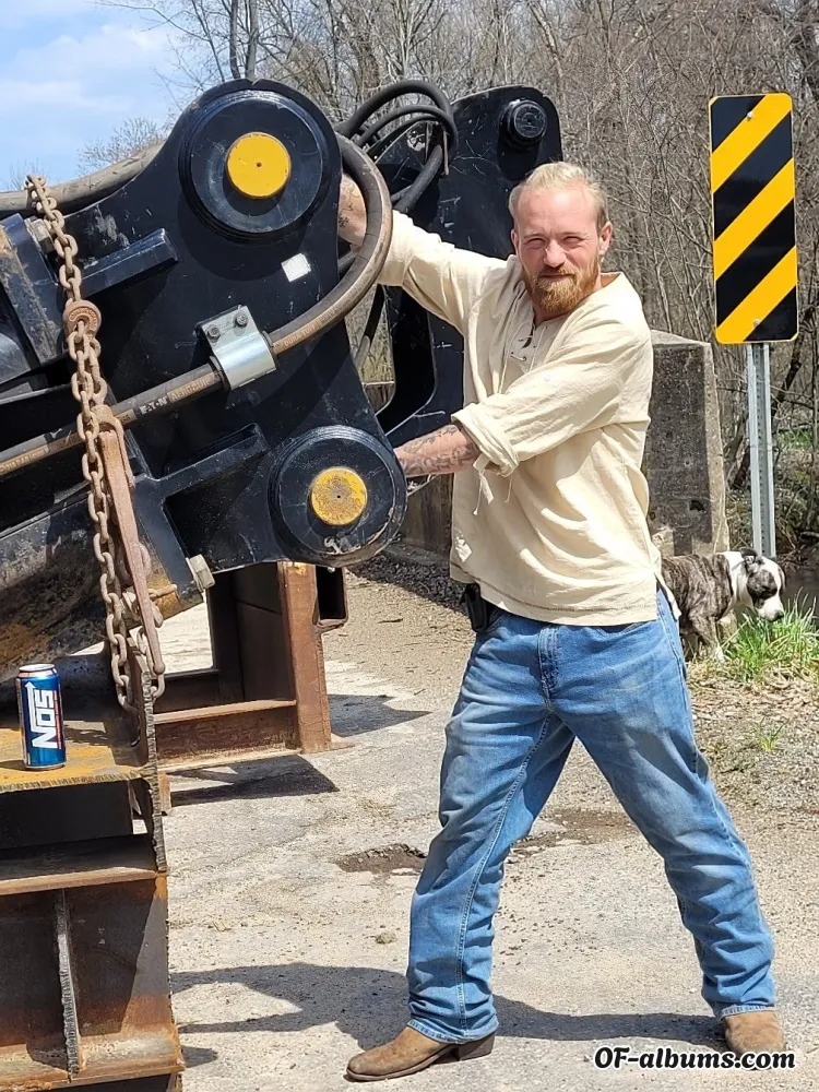 Image #2 of viking_swinger