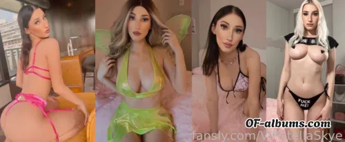 Image #4 of vipstellaskye