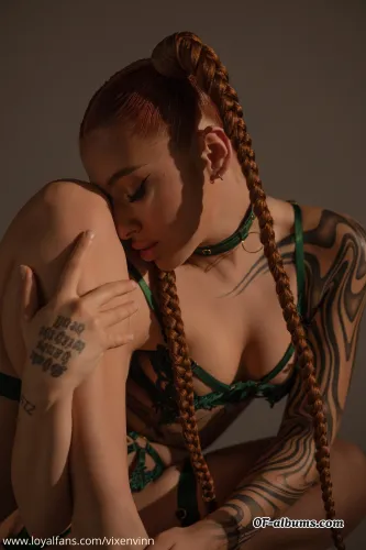 Image #2 of vixenvinn
