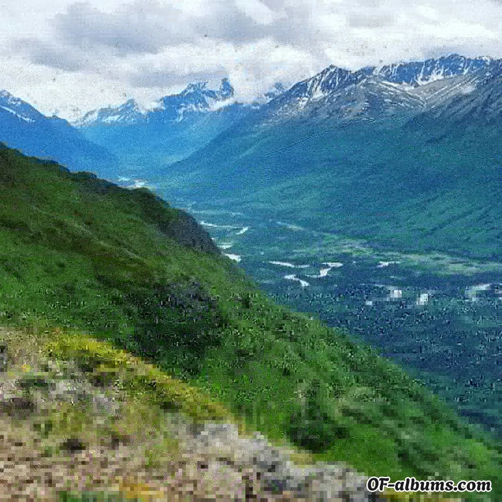 Image #2 of wannabesuicide