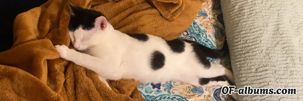 Image #2 of wavydayze