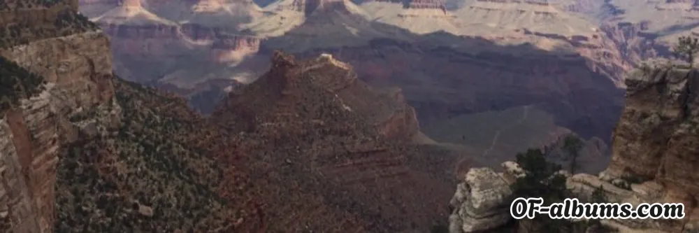 Image #2 of wavyyybaby