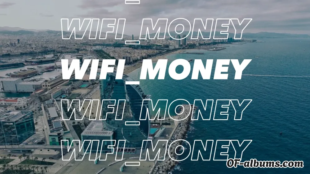 Image #2 of wifi_money