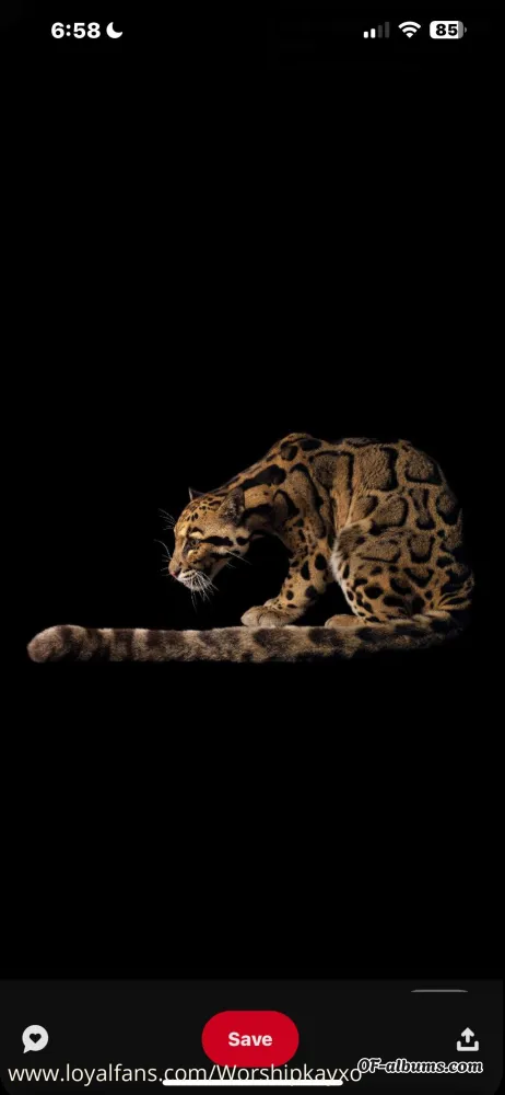 Image #2 of worshipkayxo