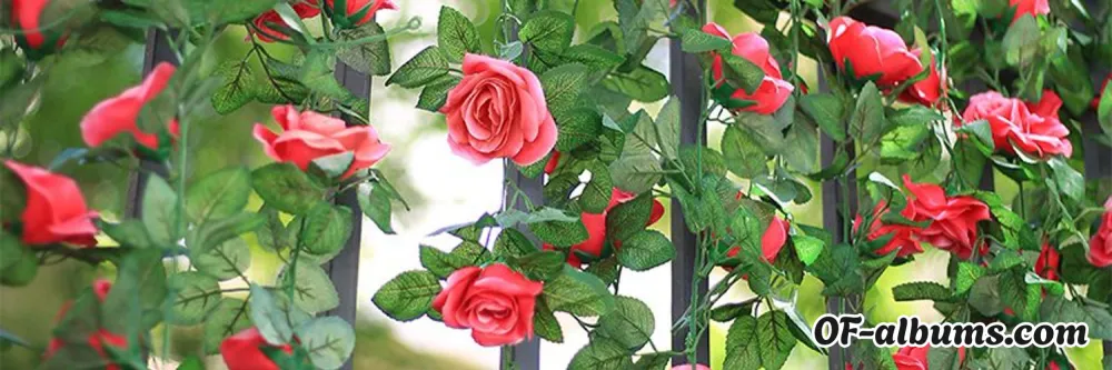 Image #2 of x__rose__x
