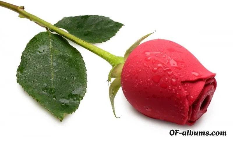 Image #2 of yesletsplay99