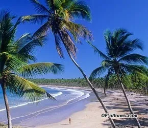 Image #2 of yokolinas