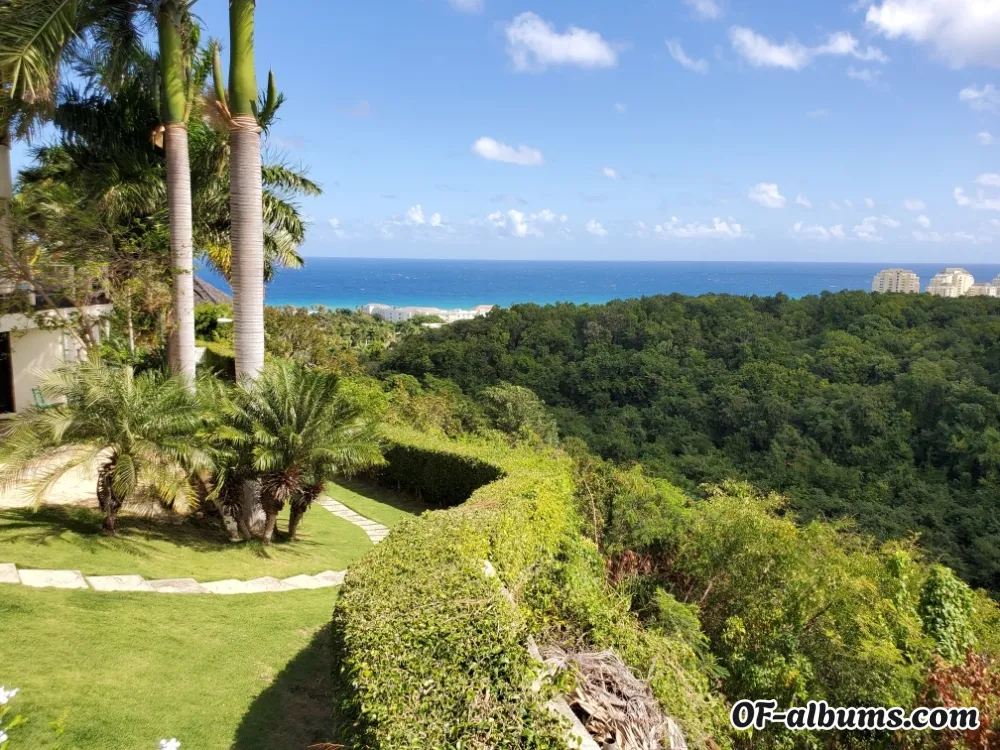 Image #2 of younglaa