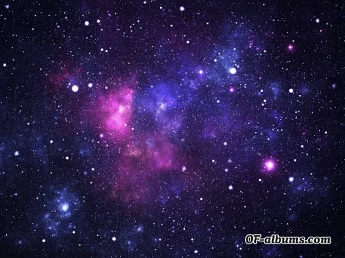 Image #4 of yourcuriosity