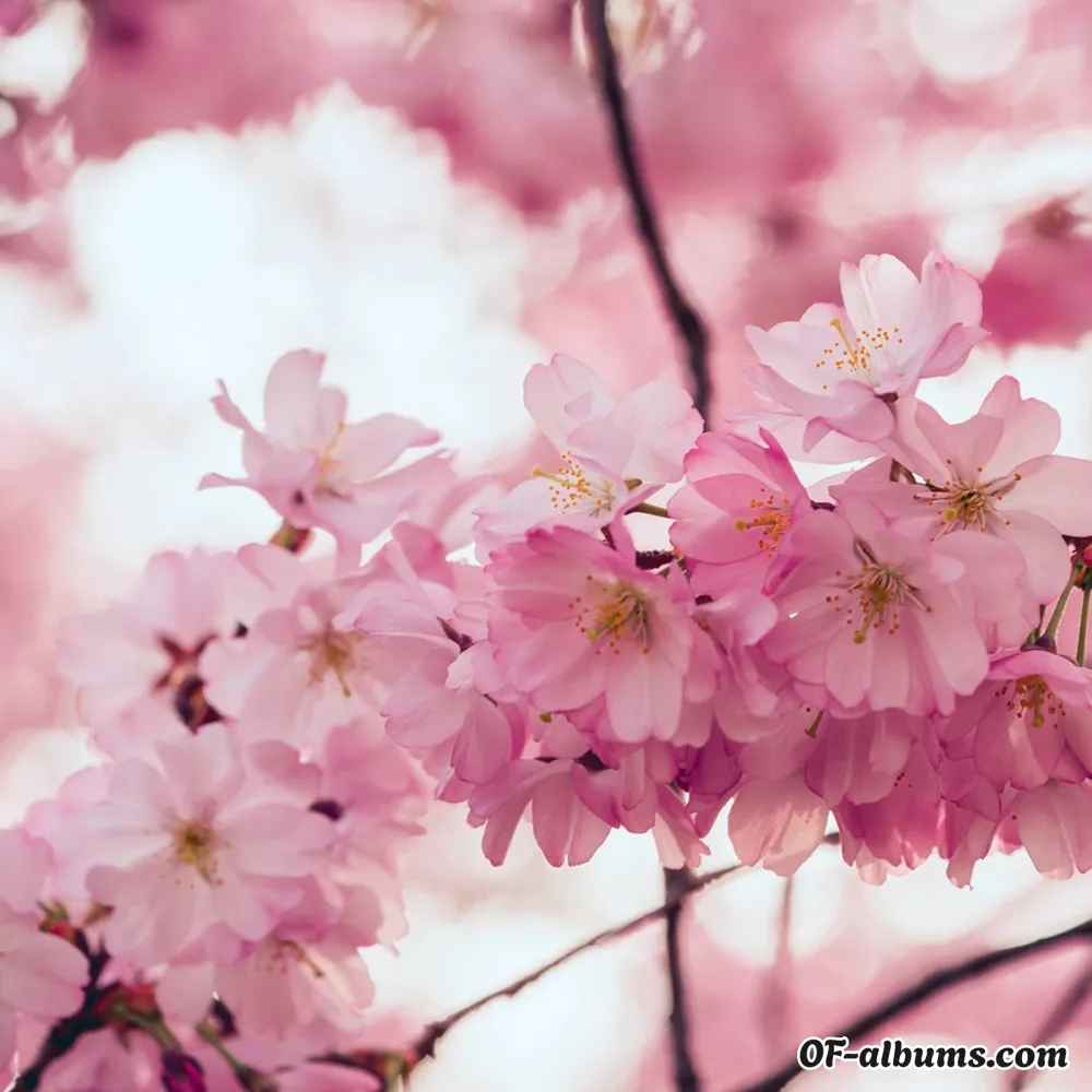 Image #2 of yourlilmommy