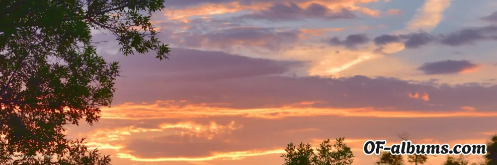 Image #2 of yourmaeve