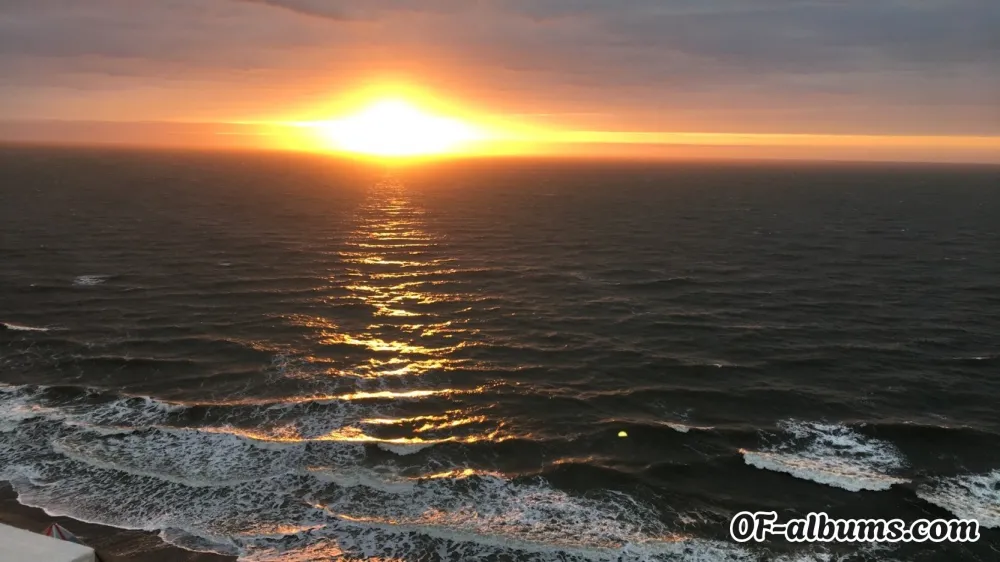 Image #2 of zanespage