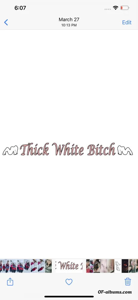 Image #2 of zooggie3