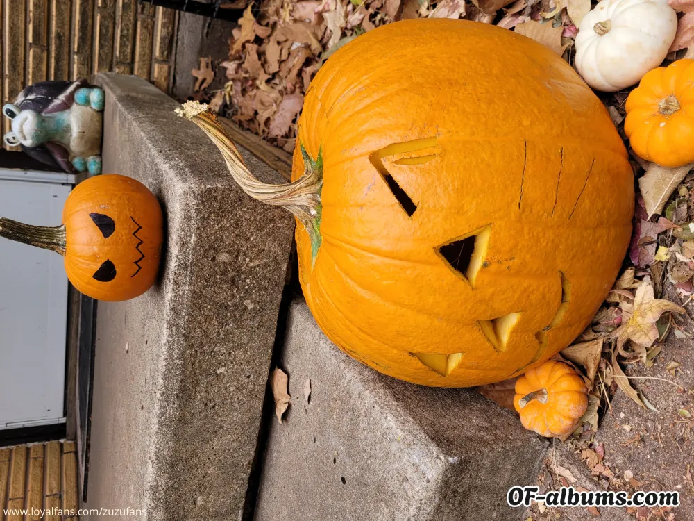 Image #4 of zuzufans